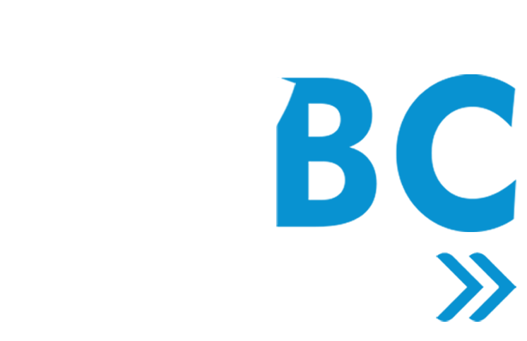 ABC FLYERS, LLC
